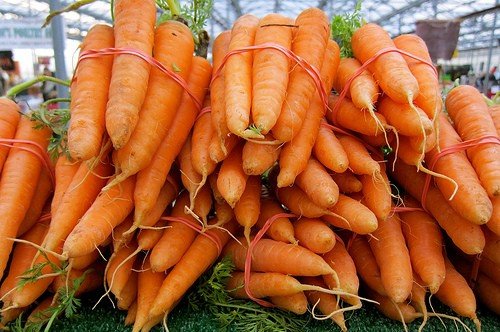 Вирощування моркви: в теплиці, парнику