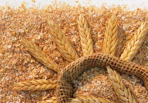 Хвороби індокачок і їх симптоми, лікування