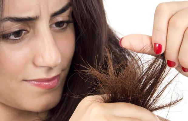 Ефірне масло кедра для здоровя волосся: правила і способи використання
