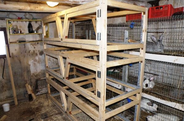 Промислові клітки для кроликів: опис та види