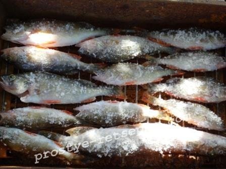 Як закоптити рибу в домашніх умовах гарячого копчення