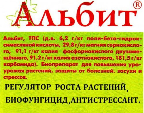 Як посадити моркву щоб швидко зійшла