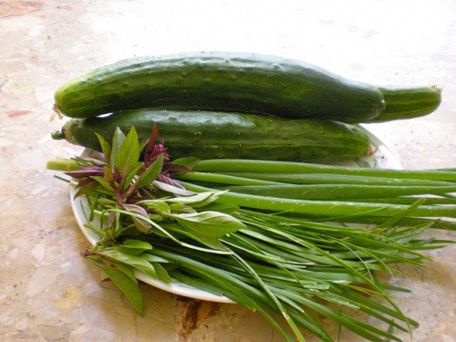 Шніт цибуля зелена: вирощування з насіння на підвіконні, догляд