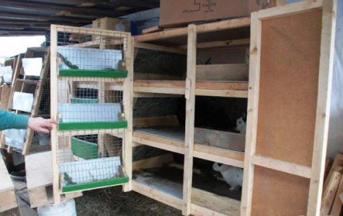 Як зробити клітки для кроликів Золотухіна: креслення, розміри