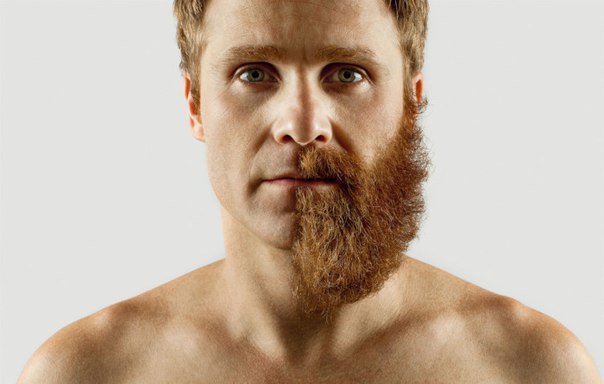 Як випрямити бороду: чому стирчить борода, способи випрямлення бороди