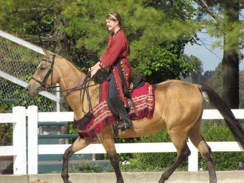 Ахалтекінська порода коня: опис, зміст, догляд
