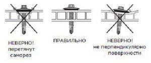 Теплиця «Кремлівська Преміум» — конструктивні особливості парника з полікарбонату