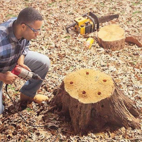 Спилювання дерев: покрокова інструкція