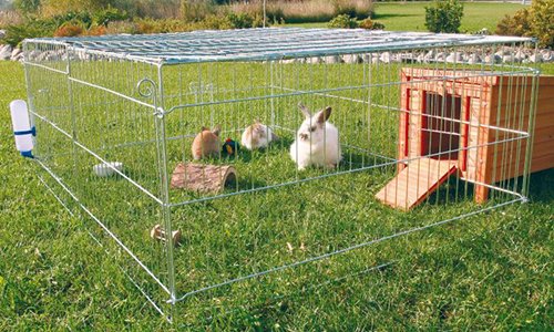 Як побудувати вольєр для кроликів