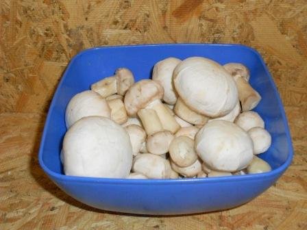 Плов з грибами: рецепт з фото