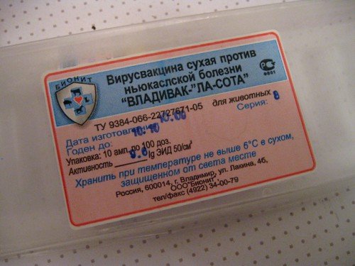 Лясоту для голубів: інструкція вакцини, навіщо потрібно