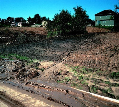 Захист ґрунтів від ерозії: види ерозії, методи боротьби