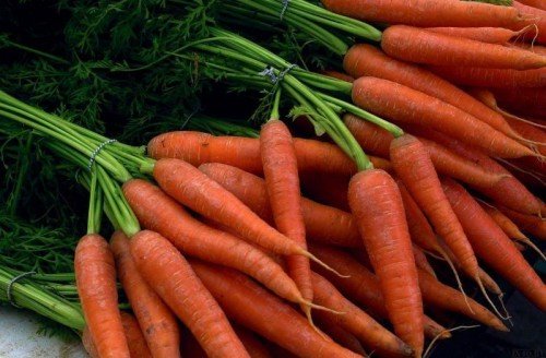 Кращі сорти моркви для зимового зберігання