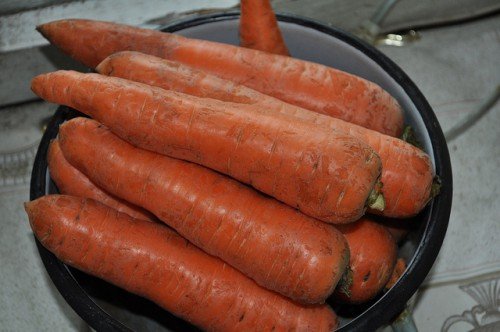 Коли і як садити моркву під зиму, сорти