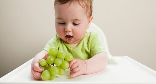 Виноград для немовлят: чи можна, в яких кількостях