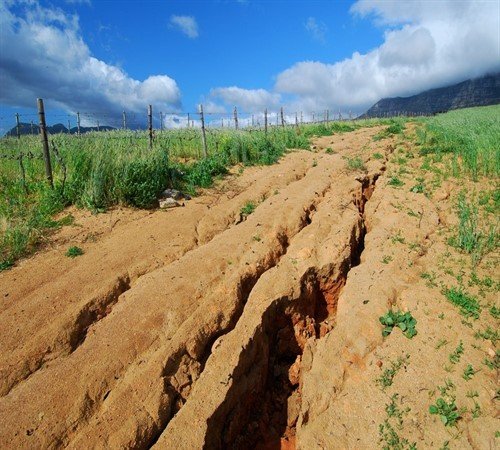Захист ґрунтів від ерозії: види ерозії, методи боротьби