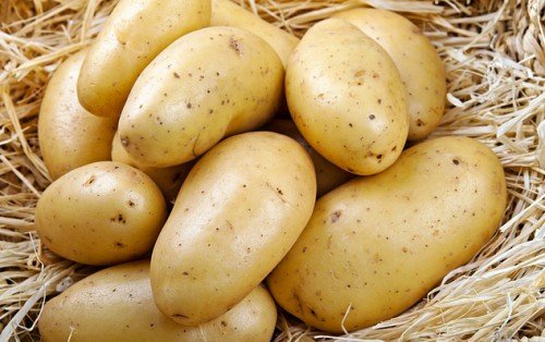 Посадка та вирощування картоплі під соломою, сіном