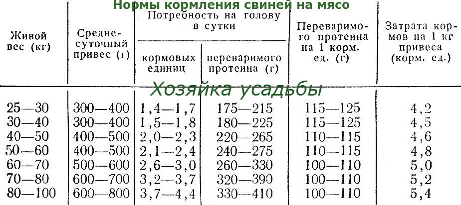 Відгодівля свиней в домашніх умовах. Три способи відгодівлі.