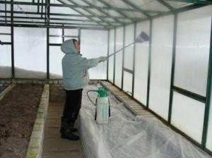 Догляд за теплицею з полікарбонату — роботи в тепличному приміщенні восени