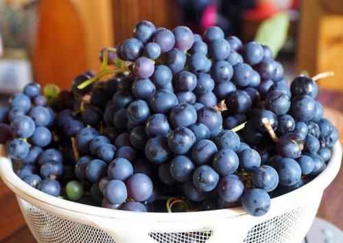 Калорійність червоного винограду, корисні властивості