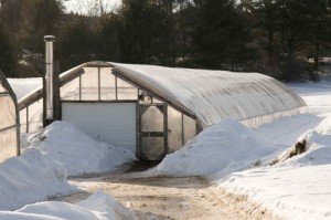 Двоскатні теплиці з полікарбонату — парники з двосхилим дахом