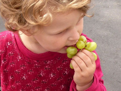 Чи можна дітям виноград з кісточками: відповідь на питання
