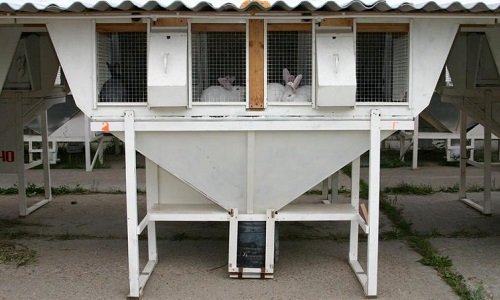 Пристрій міні ферми для кроликів та її особливості
