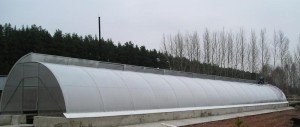 Великі теплиці з полікарбонату — фото і розміри великого парника з полікарбонатних листів