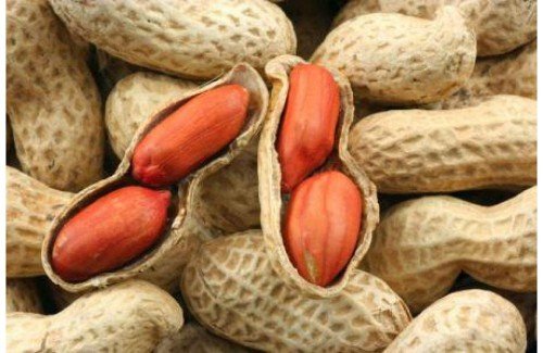 Як виростити арахіс