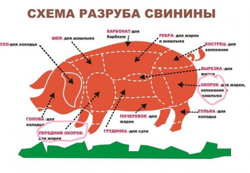 Оброблення свинячої туші (схема частин тіла)