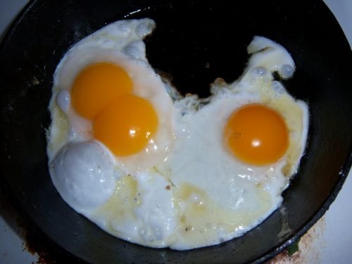 Яйця индоутки користь та шкода: коли несуться индоутки