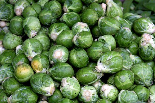 Вирощування брюссельської капусти: догляд, сорти