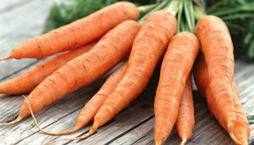 Морква: посадка у відкритому грунті, догляд, підживлення