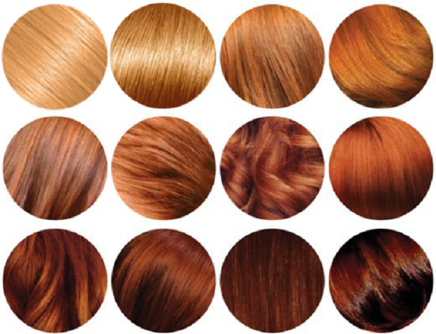 Надаємо зачісці колір капучіно фарбою для волосся Гарньєр: види відтінків