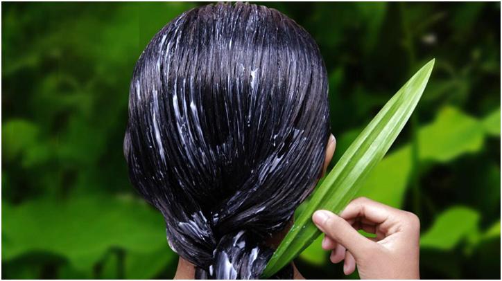 Кращі ампули для відновлення волосся: ефективні варіанти