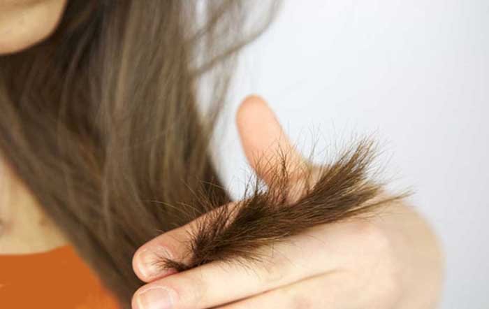 Користь від вживання пива для волосся: як правильно мити голову і рецепти маски