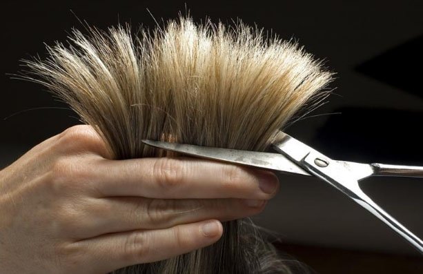 Що робити, якщо січуться кінчики волосся: як вилікувати кінці в домашніх умовах