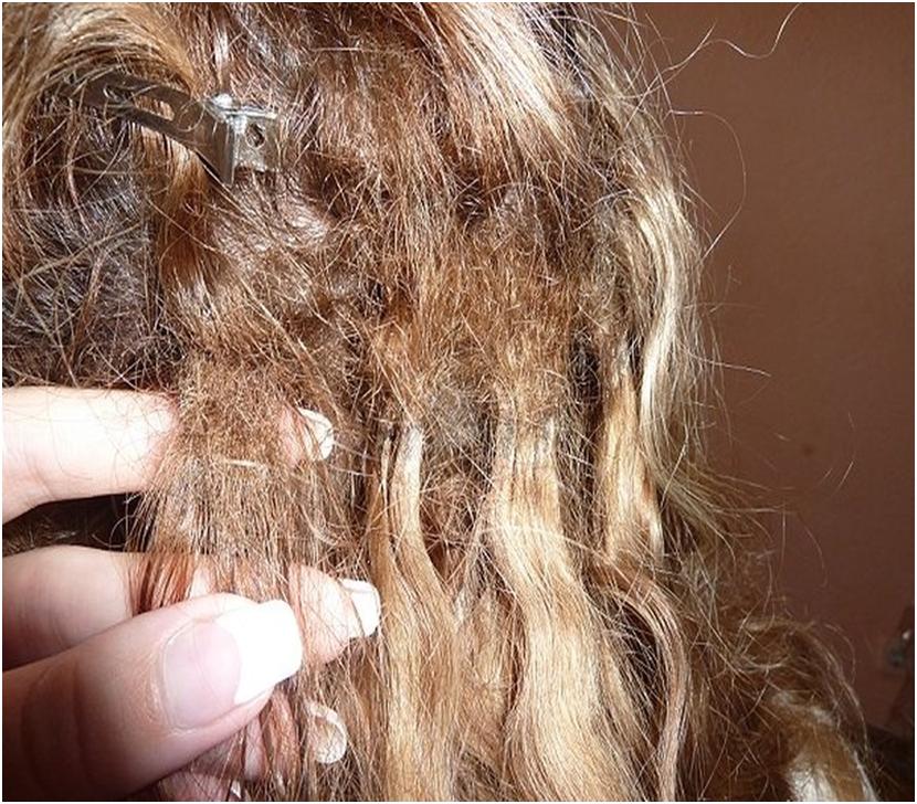 Дізнайся, можна чи не можна фарбувати волосся під час місячних: поради трихолога