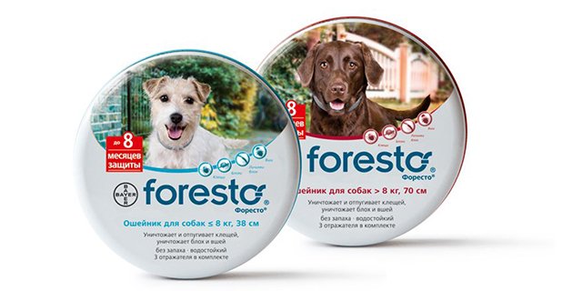 Нашийник від кліщів і бліх Форесто (Foresto) для собак і кішок – інструкція та відгуки