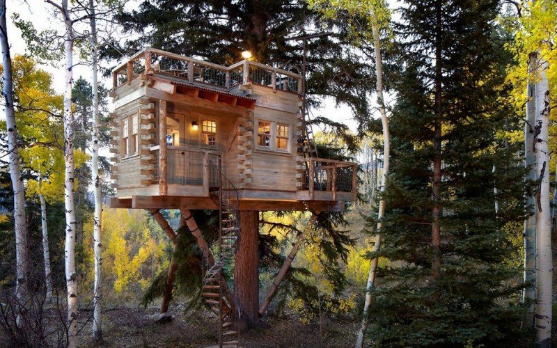 Будиночок на дереві   мрія чи реальність?