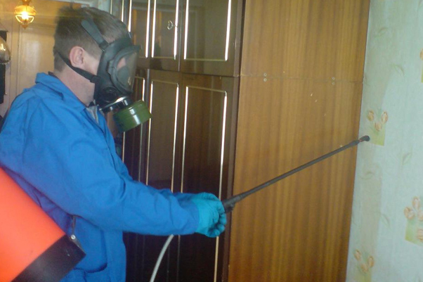 Синузан від клопів: відгуки, застосування і ефективність