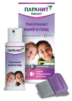 Блохи у людини: чим небезпечні, як вивести