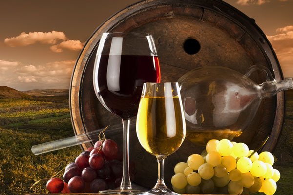 Як правильно вибрати келихи для вина