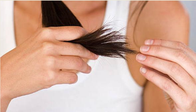 Як відновити спалені волосся якщо їх спалили в перукарні: інструкція