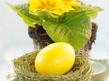 Як пофарбувати яйця на Великдень   покрокове керівництво