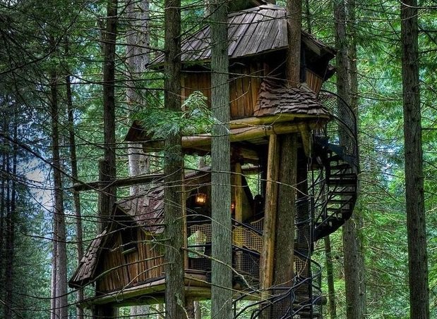Будиночок на дереві   мрія чи реальність?