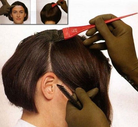Фарбування волосся хною   ефективна процедура для нормальних і сивого локонів