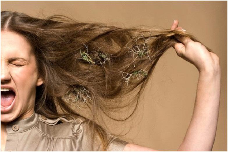 Як поліпшити стан волосся в домашніх умовах: ефективні способи