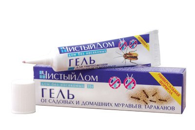 Чого бояться мурахи. Що не люблять мурахи