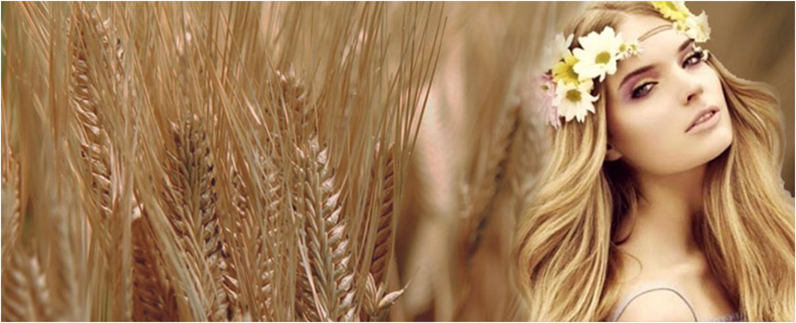 Пшеничний колір волосся: фарба для даного відтінку, рекомендації, догляд